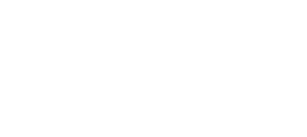 logo decloedt consulting